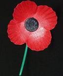 Buttonhole Poppy