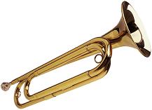 shiny bugle