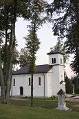 photo of a white church visible through tall trees