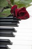 piano keyboard with flower