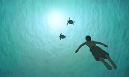 Laurent Perez del Mar: The Red Turtle - image 1