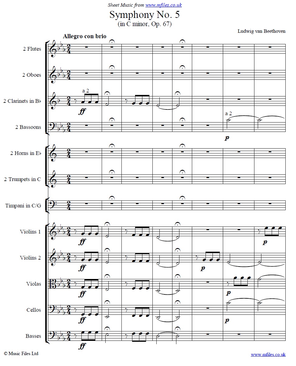 Beethoven's 5th Symphony 1st movement (orchestral score) - sheet music 1st page