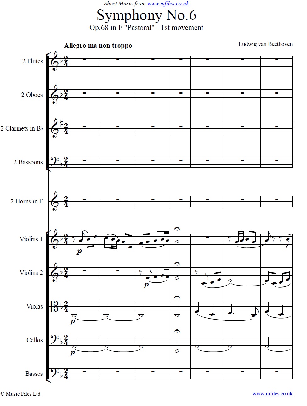 Beethoven's 6th Symphony 1st movement (orchestral score) - sheet music 1st page
