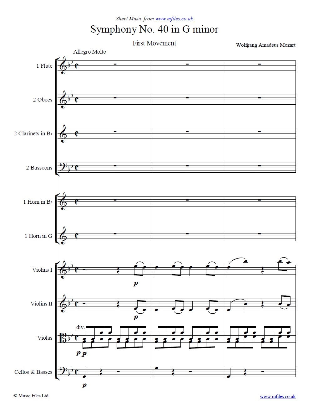 Mozart's Symphony No.40 in Gm (1st Movement) score - sheet music 1st page